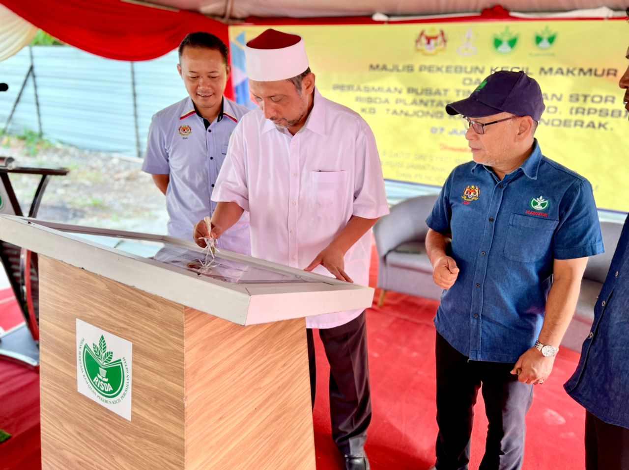 kelapa sawit122